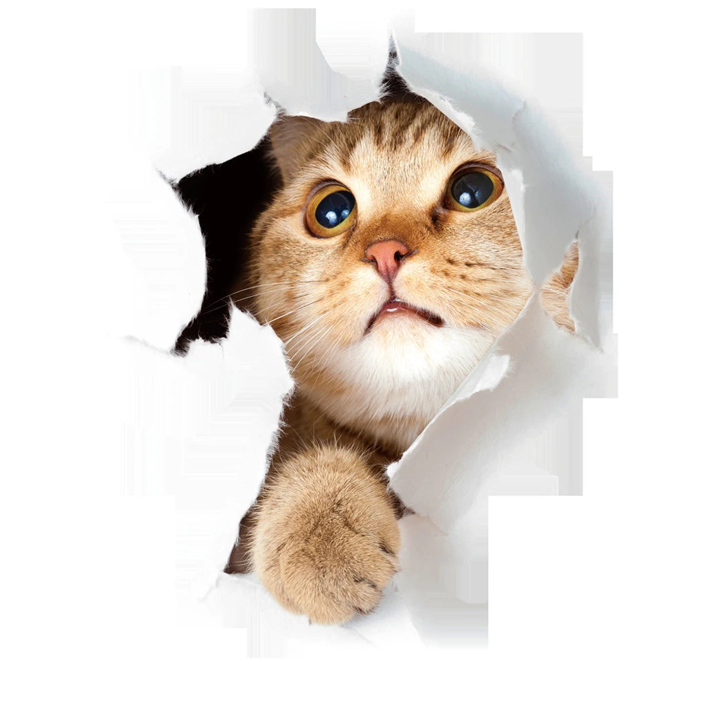 3D Lovely Pet Self-adhesive Wallpaper Children Living Room Bathroom Toilet Decals Mural Tattoo