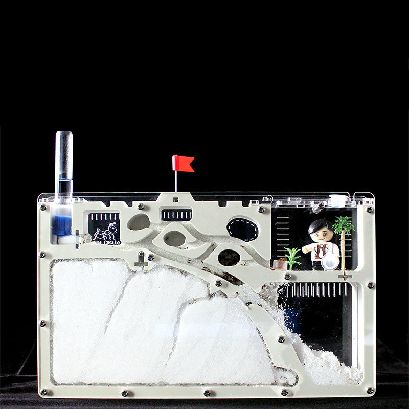 AOMshop - Découvrez notre Ant Ecological Box pour élever des fourmis