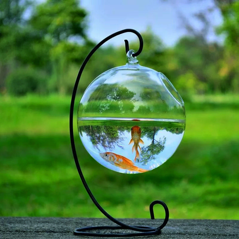 AOMshop - Découvrez notre Hanging Glass Vase Fish Tank pour décorer votre intérieur
