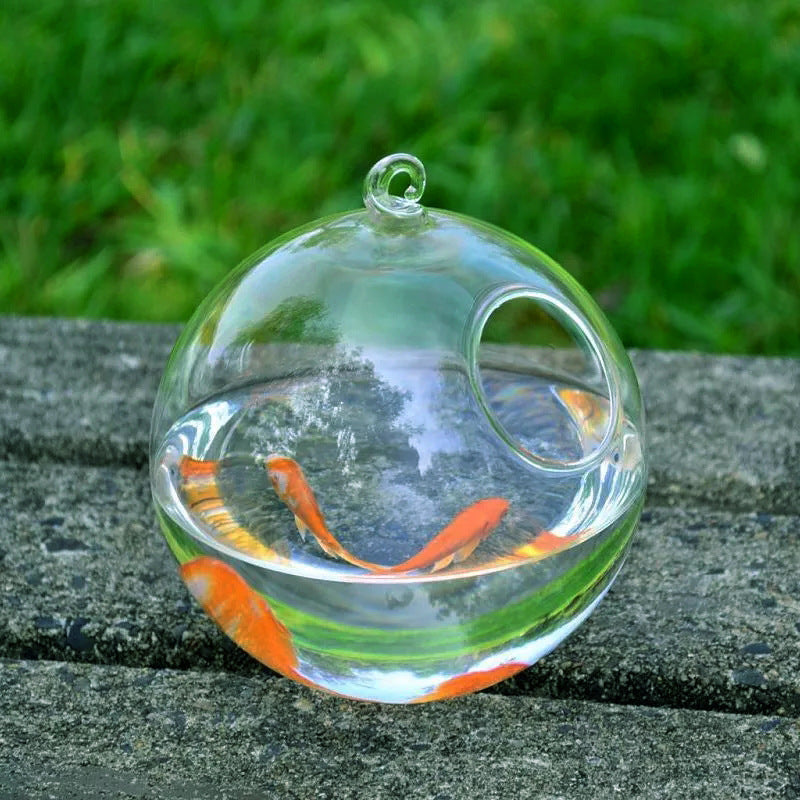 AOMshop - Découvrez notre Hanging Glass Vase Fish Tank pour décorer votre intérieur Glass ball