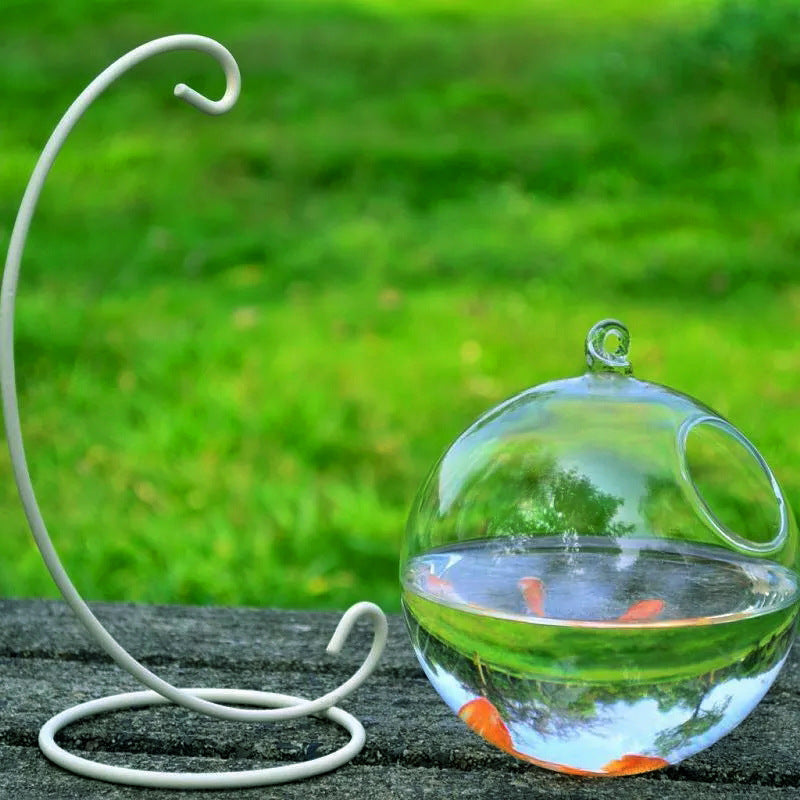 AOMshop - Découvrez notre Hanging Glass Vase Fish Tank pour décorer votre intérieur