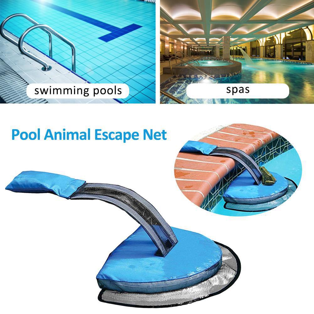 Acheter Swimming Pool Small Animal Rescue sur AOMshop - Échelle d'évasion pour les petits animaux