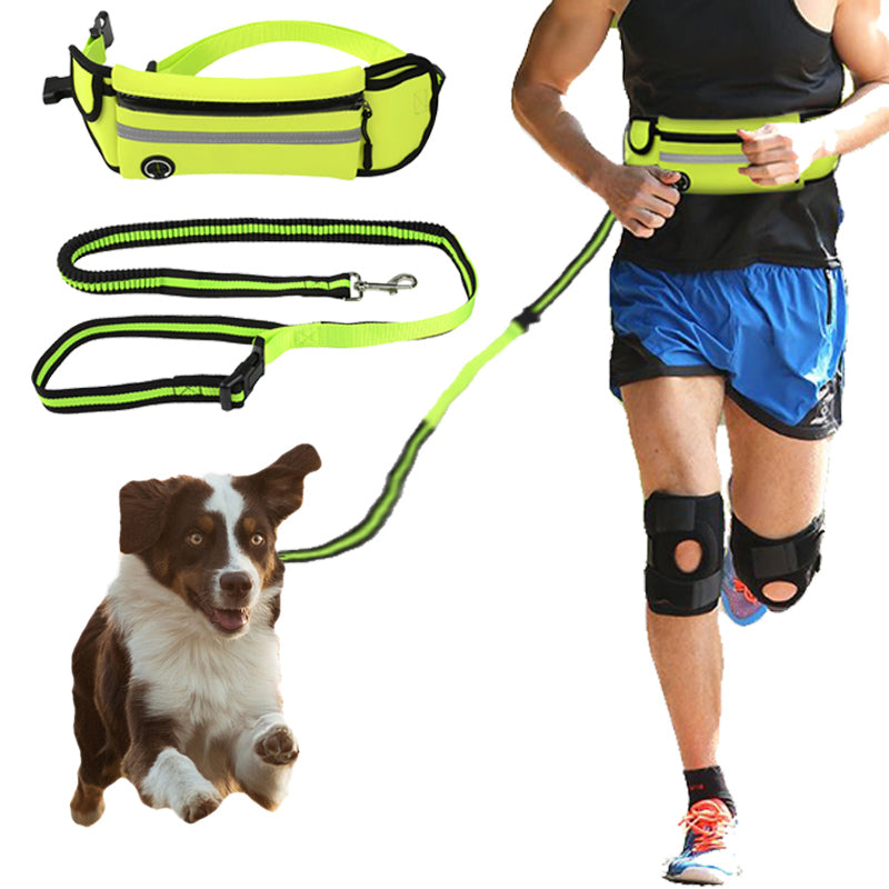 Achetez la ceinture de traction pour animaux de compagnie avec sac AOMshop