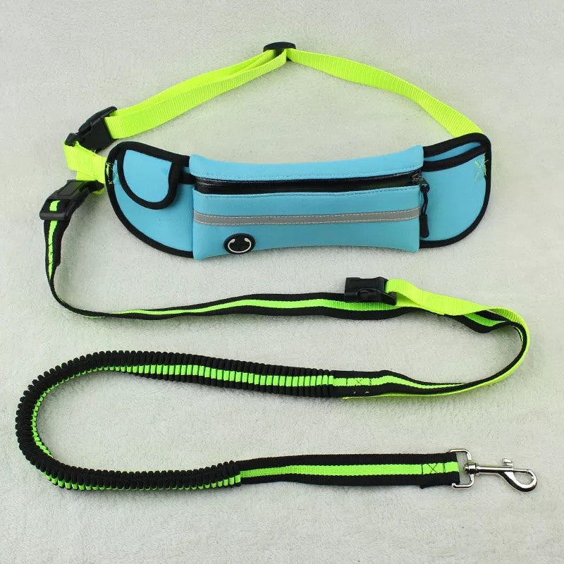 Achetez la ceinture de traction pour animaux de compagnie avec sac AOMshop Sky blue