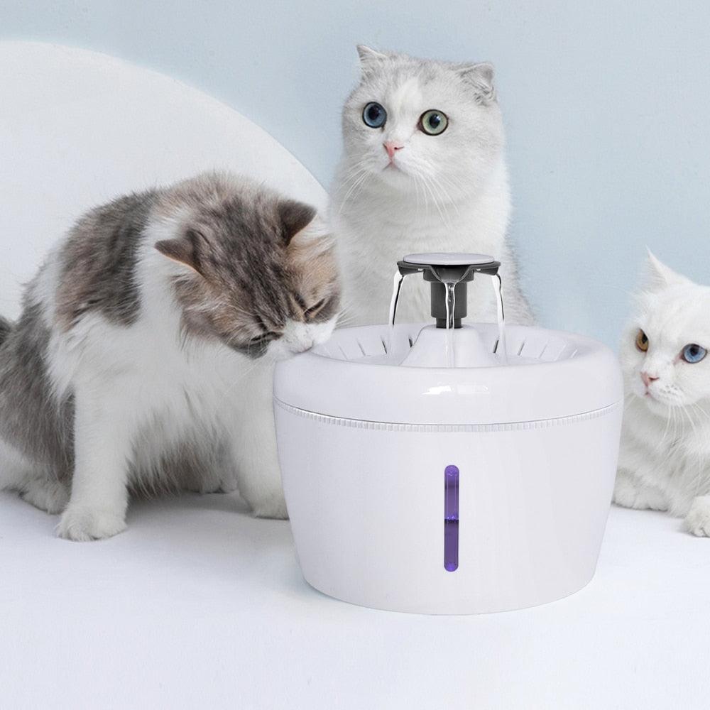 Distributeur automatique d'eau pour animaux de compagnie