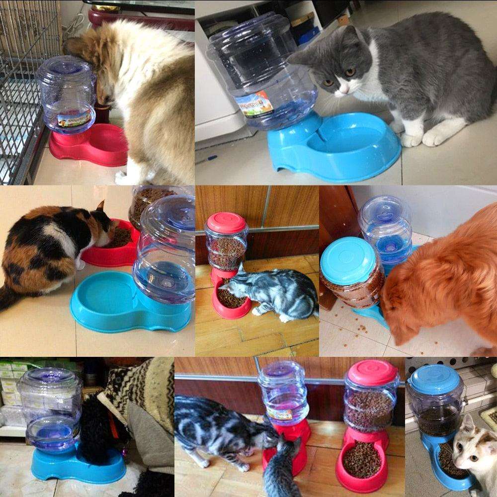 Distributeur d'eau automatique pour animaux de compagnie 3.5L
