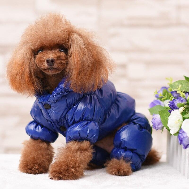 Habillez votre chien pour l'hiver avec des vêtements imperméables Blue