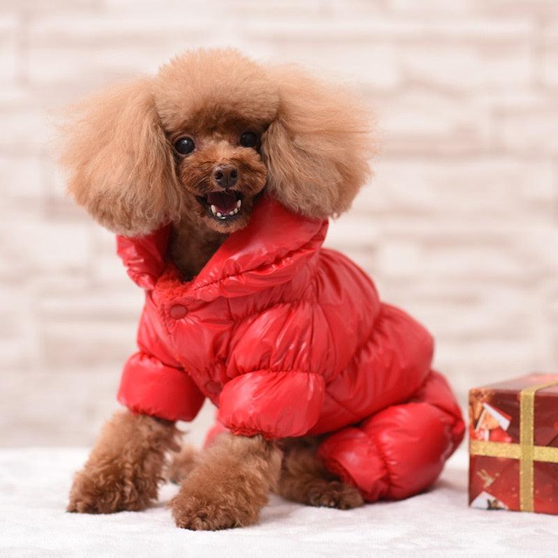 Habillez votre chien pour l'hiver avec des vêtements imperméables Red