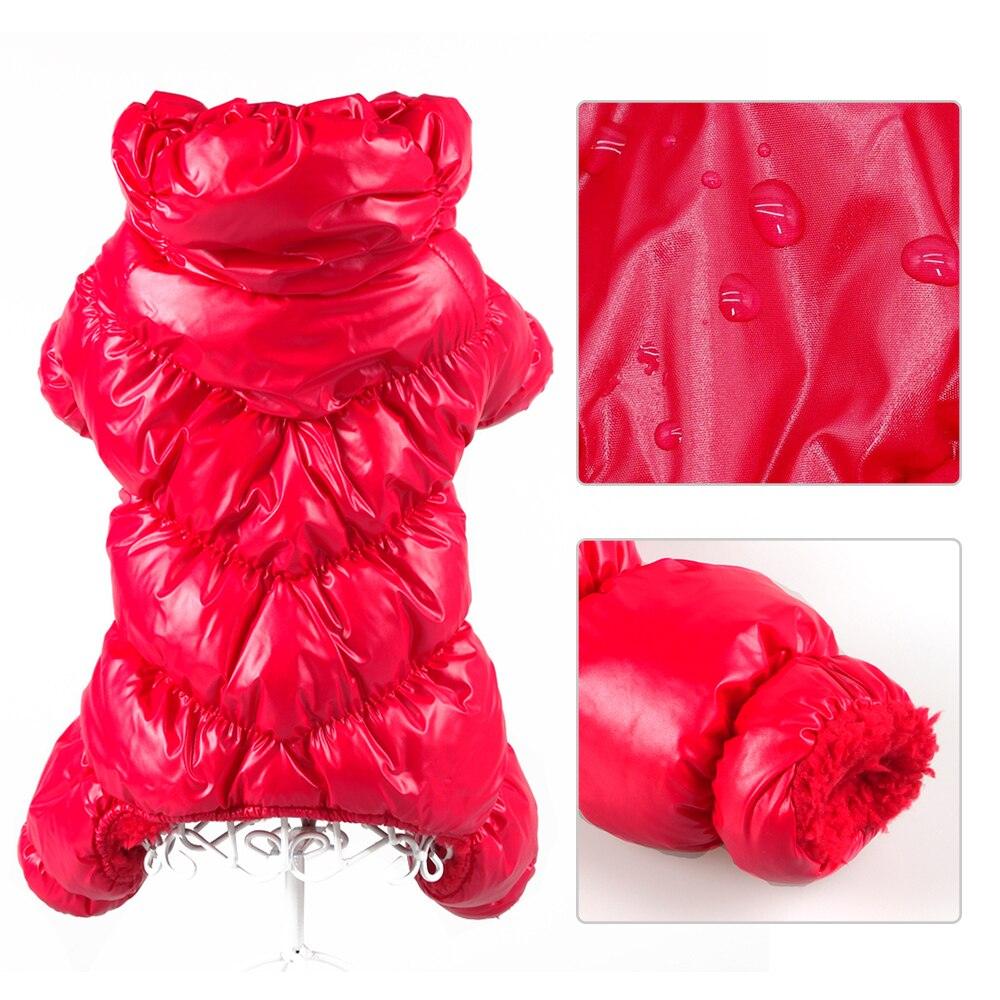 Habillez votre chien pour l'hiver avec des vêtements imperméables