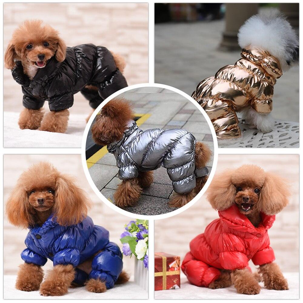 Habillez votre chien pour l'hiver avec des vêtements imperméables