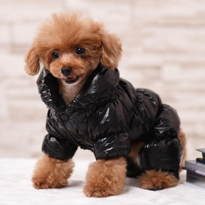 Habillez votre chien pour l'hiver avec des vêtements imperméables Black