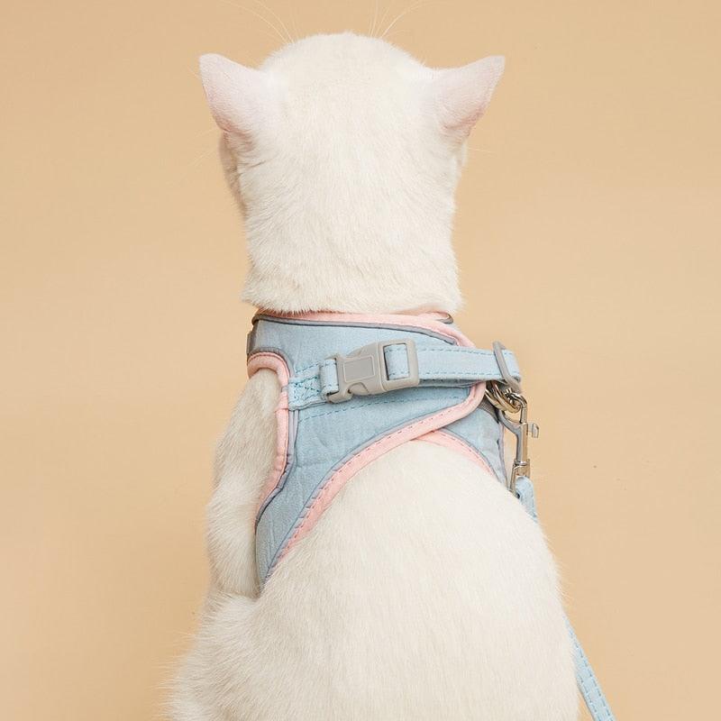 Harnais et laisse pour animaux de compagnie, ensemble de formation et de marche pour chats et chiens