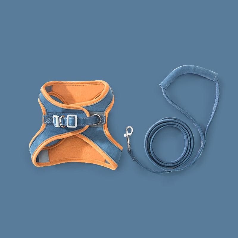 Harnais et laisse pour animaux de compagnie, ensemble de formation et de marche pour chats et chiens Orange