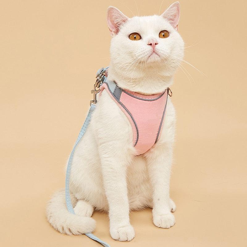Harnais et laisse pour animaux de compagnie, ensemble de formation et de marche pour chats et chiens