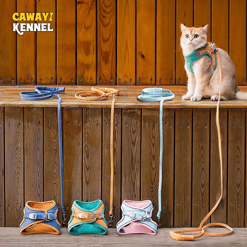 Harnais et laisse pour animaux de compagnie, ensemble de formation et de marche pour chats et chiens