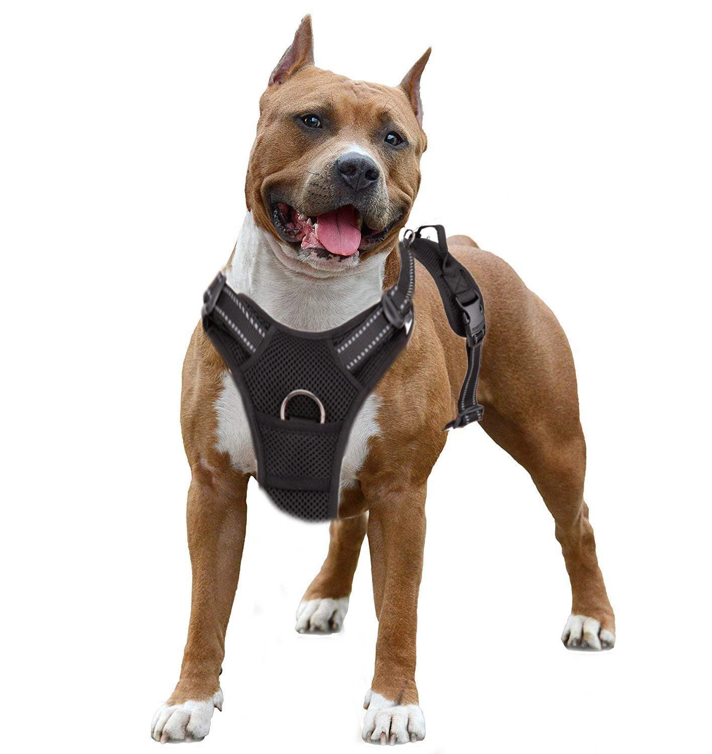 Harnais pour chien Truelove rembourré en mesh respirant pour les activités sportives en extérieur
