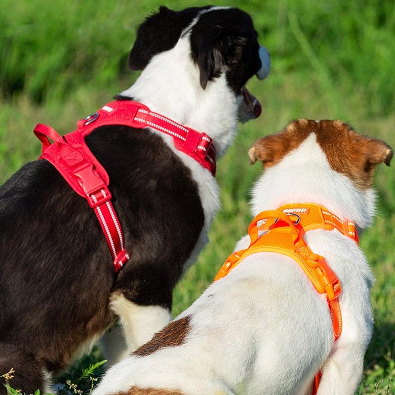 Harnais pour chien Truelove rembourré en mesh respirant pour les activités sportives en extérieur