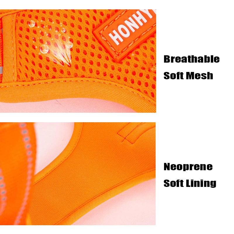 Harnais pour chien Truelove rembourré en mesh respirant pour les activités sportives en extérieur