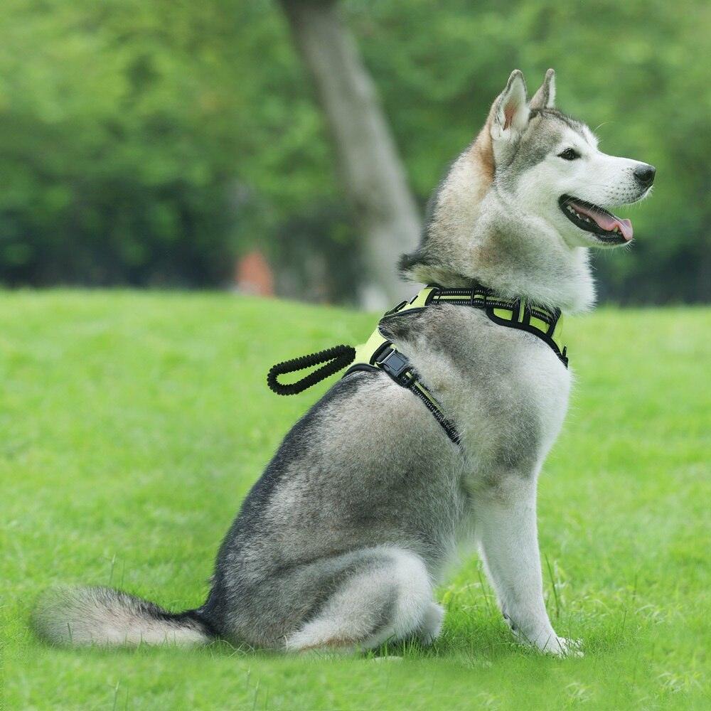Harnais pour chien réglable en tissu
