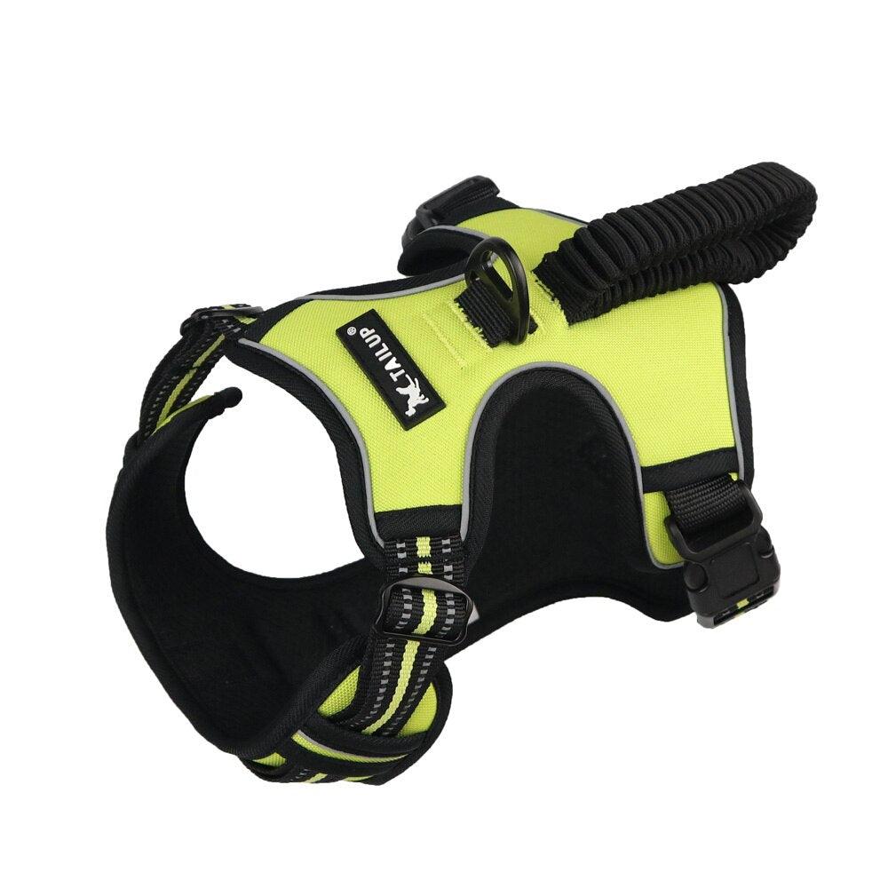 Harnais pour chien réglable en tissu Green