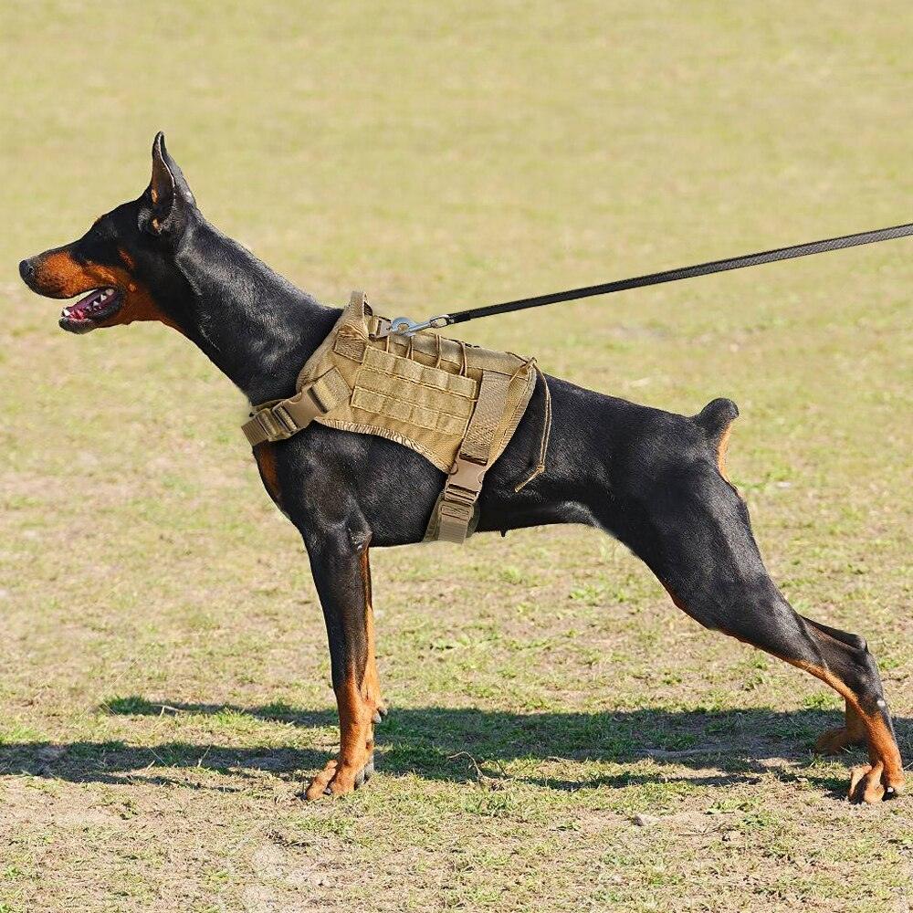 Harnais tactique militaire pour chien