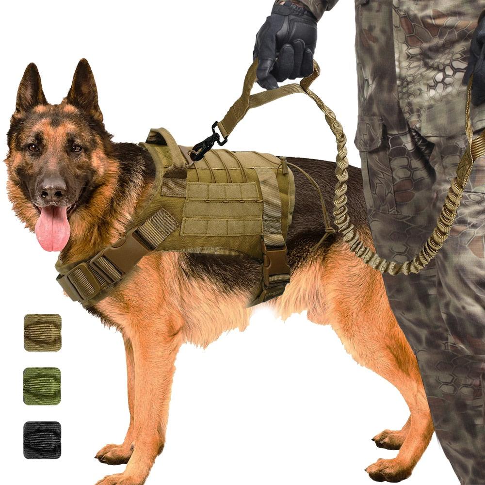 Harnais tactique militaire pour chien