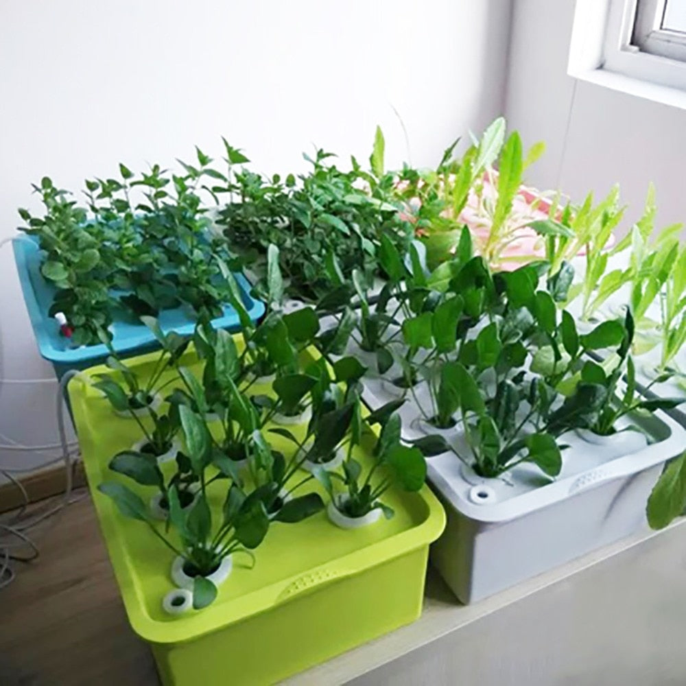 Kit de culture hydroponique à 6 trous pour jardin intérieur