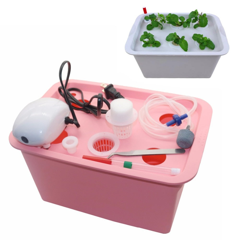 Kit de culture hydroponique à 6 trous pour jardin intérieur
