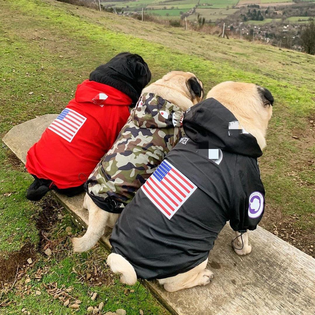 Manteau de pluie pour chien | Vêtements pour petits et grands chiens
