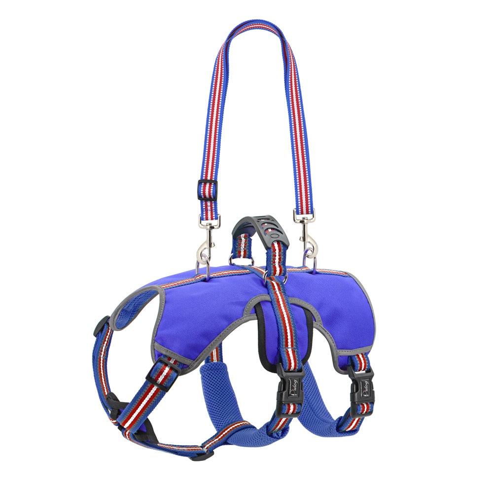 Nylon Reflective Large Dog Harness Vest Leash - Pour les chiens de taille moyenne et grande Blue