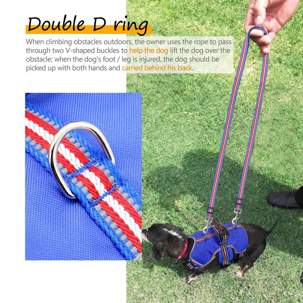 Nylon Reflective Large Dog Harness Vest Leash - Pour les chiens de taille moyenne et grande