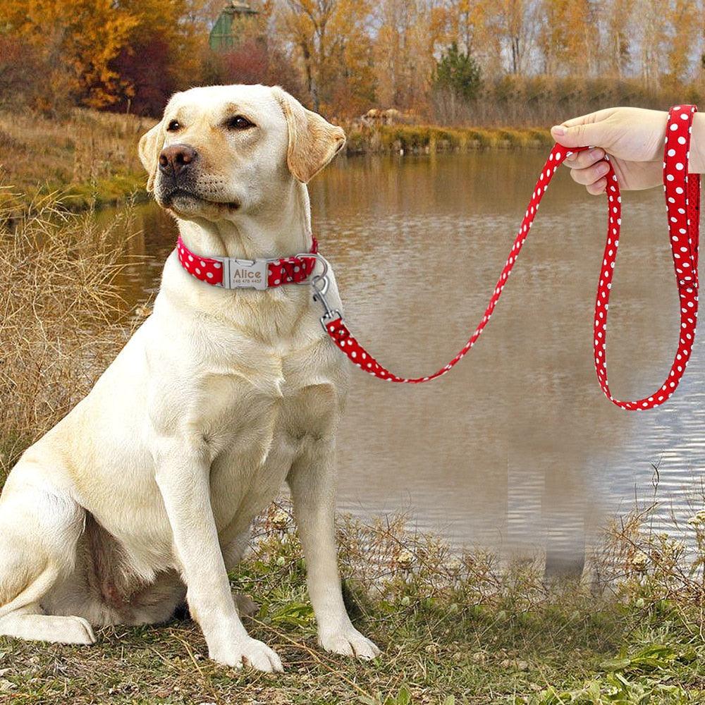 Personnalisez le collier de votre chien avec un nom gravé