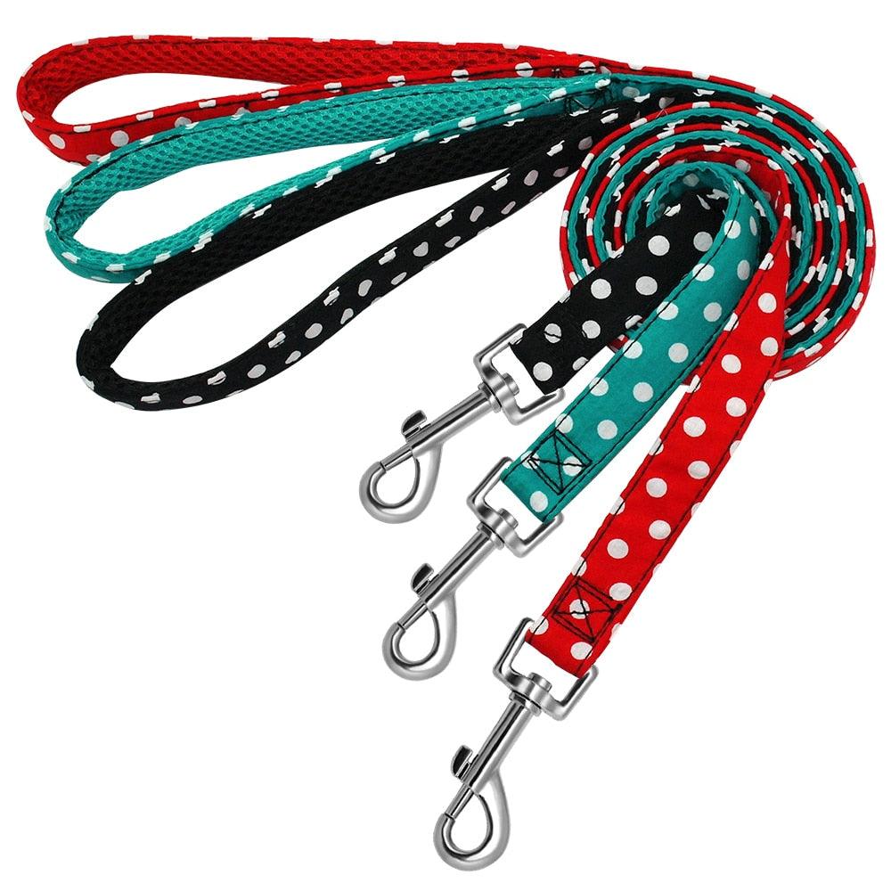 Personnalisez le collier de votre chien avec un nom gravé