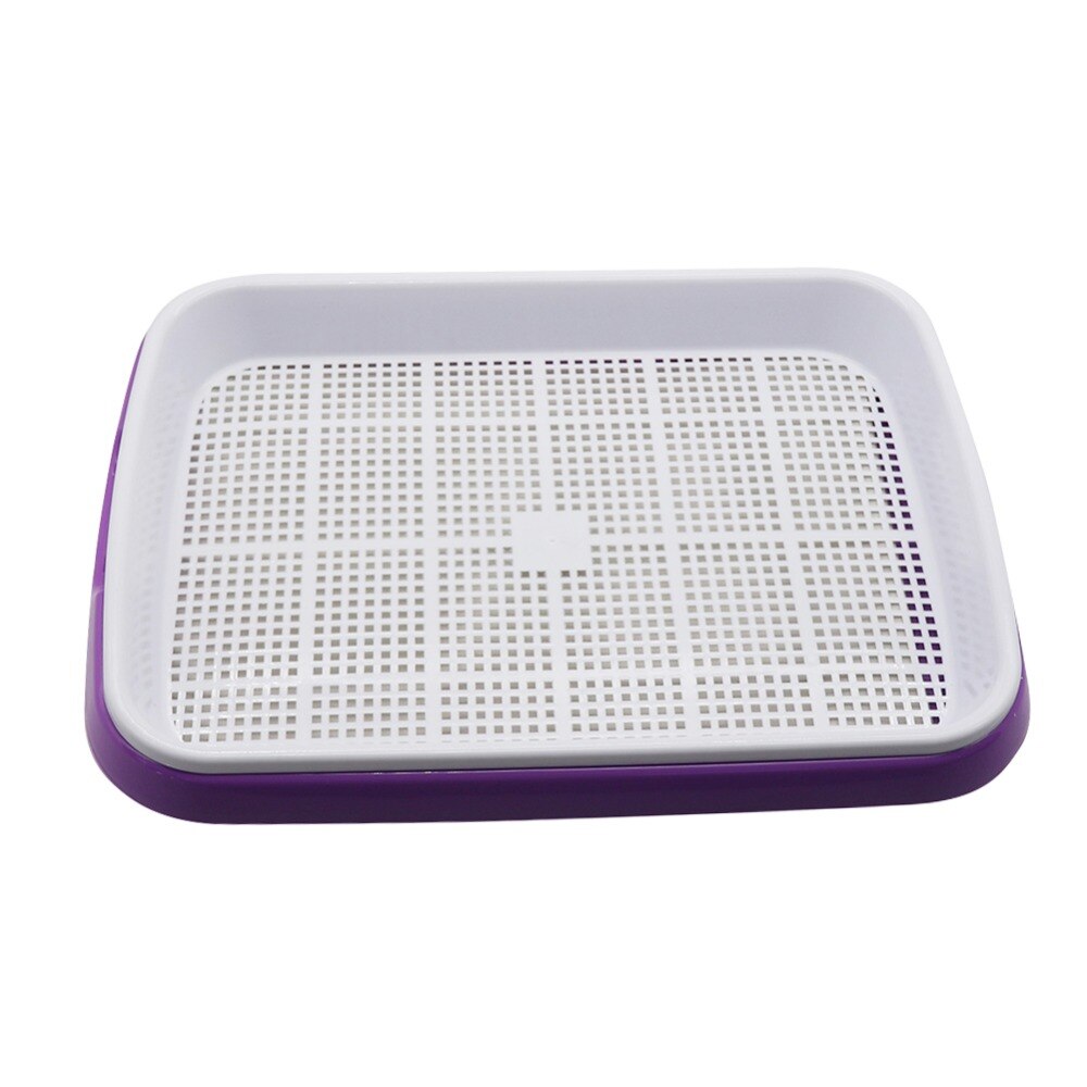 Plateau hydroponique à double couche pour la culture de pousses de soja Purple