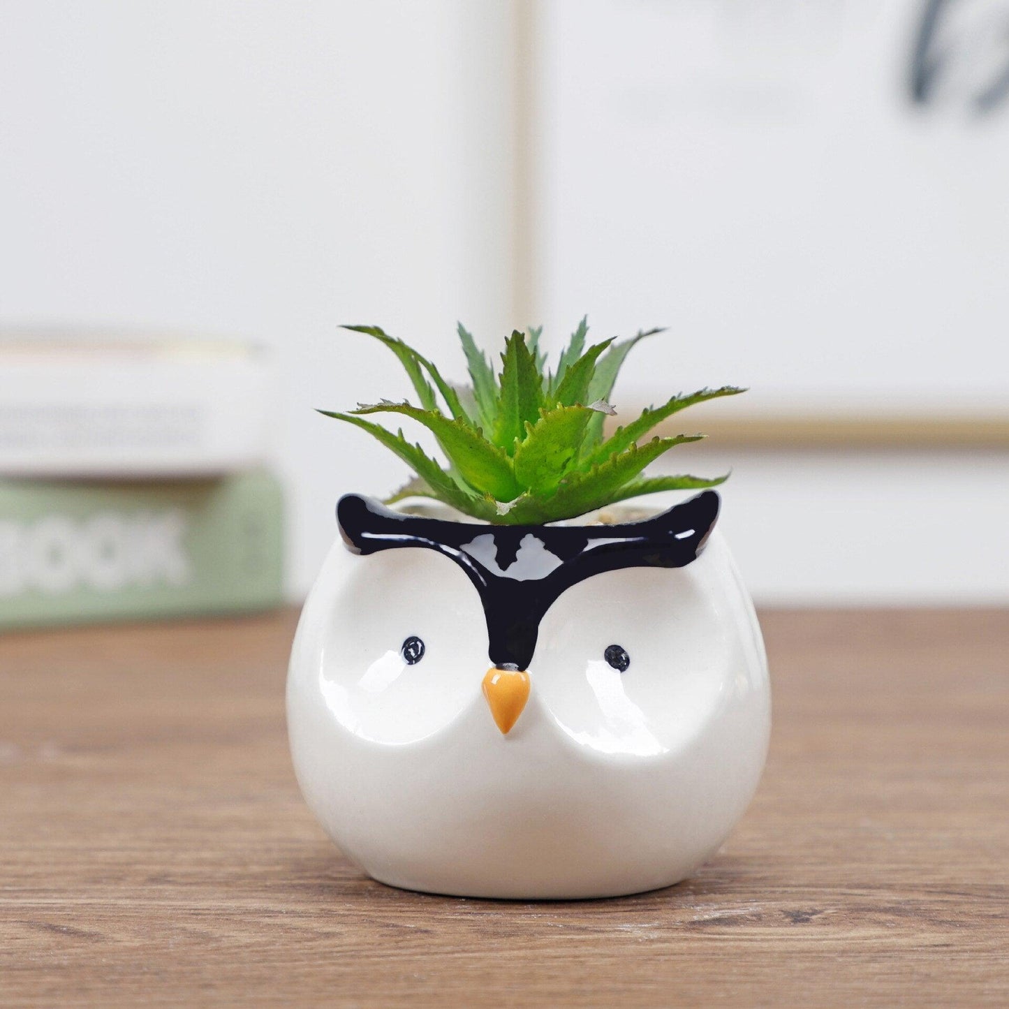 "Pot de fleurs mignon animal"