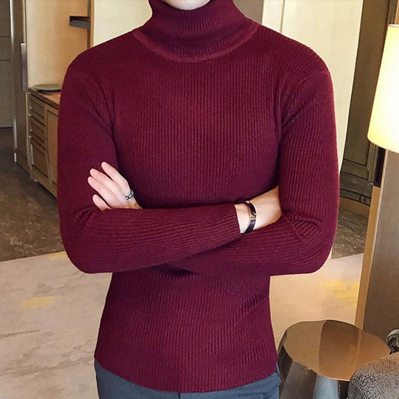 Pulls à col roulé pour hommes