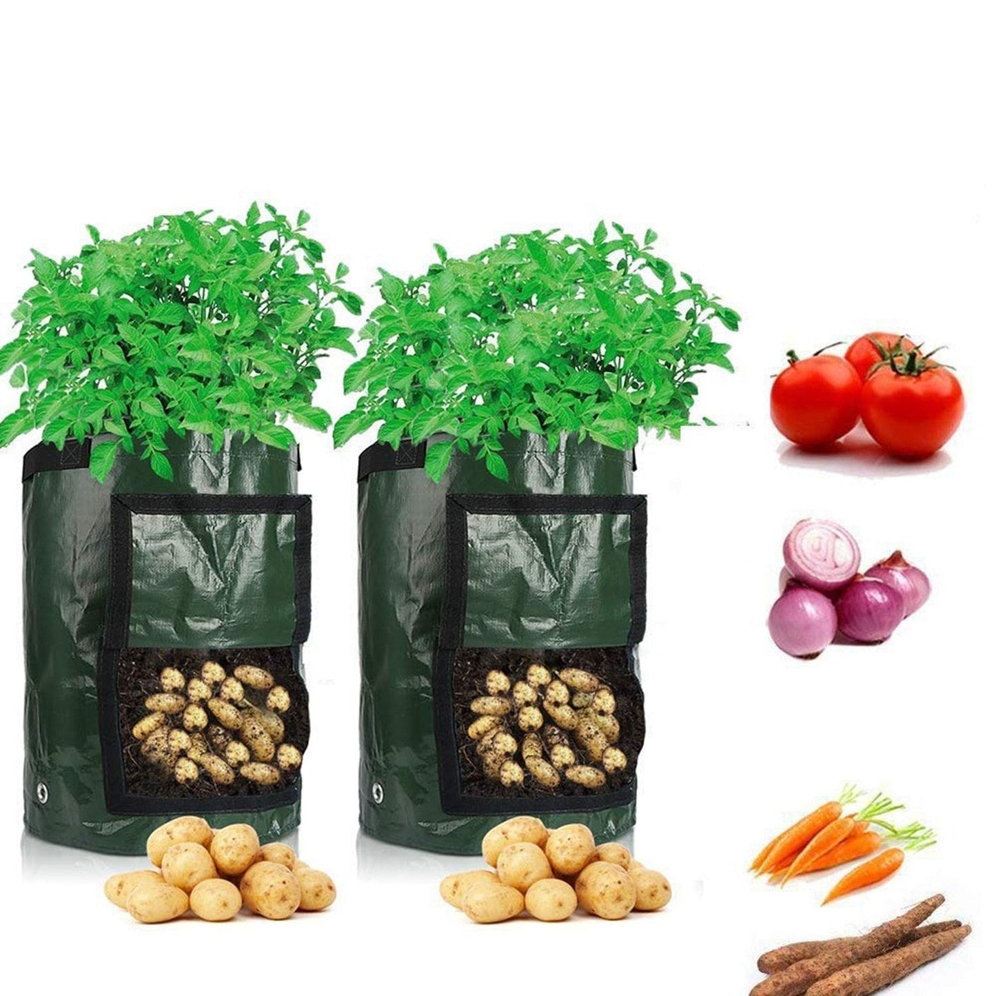 "Sacs tissés pour la culture de pommes de terre : un outil de jardinage indispensable"