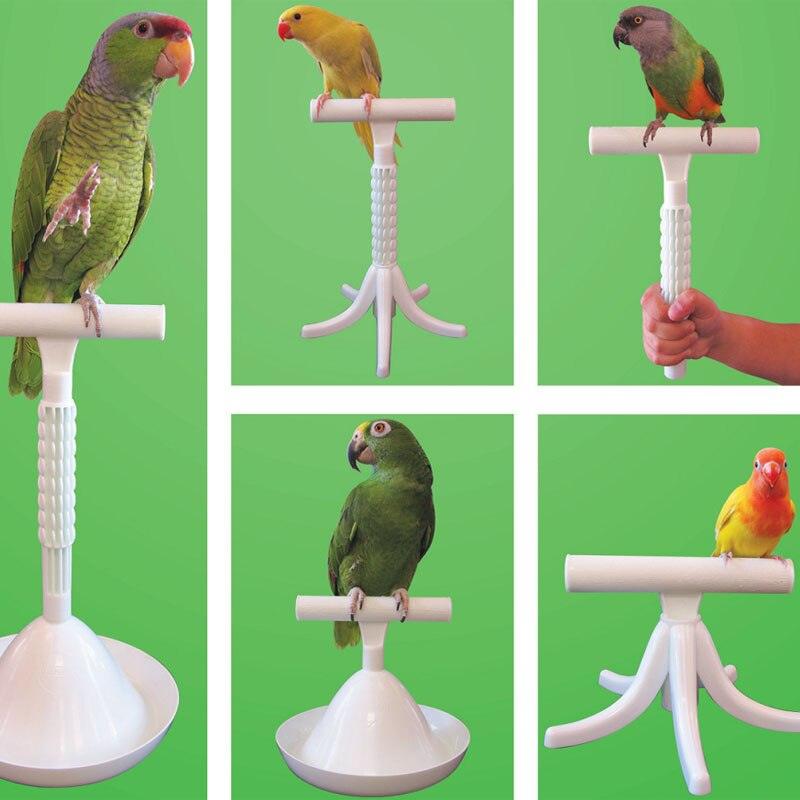 Support portable et outil d'entraînement pour perroquets de toutes tailles