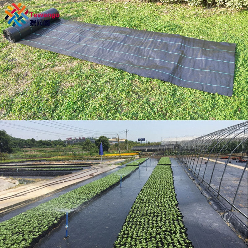 Tewango - Bâche de protection pour jardin et paysage