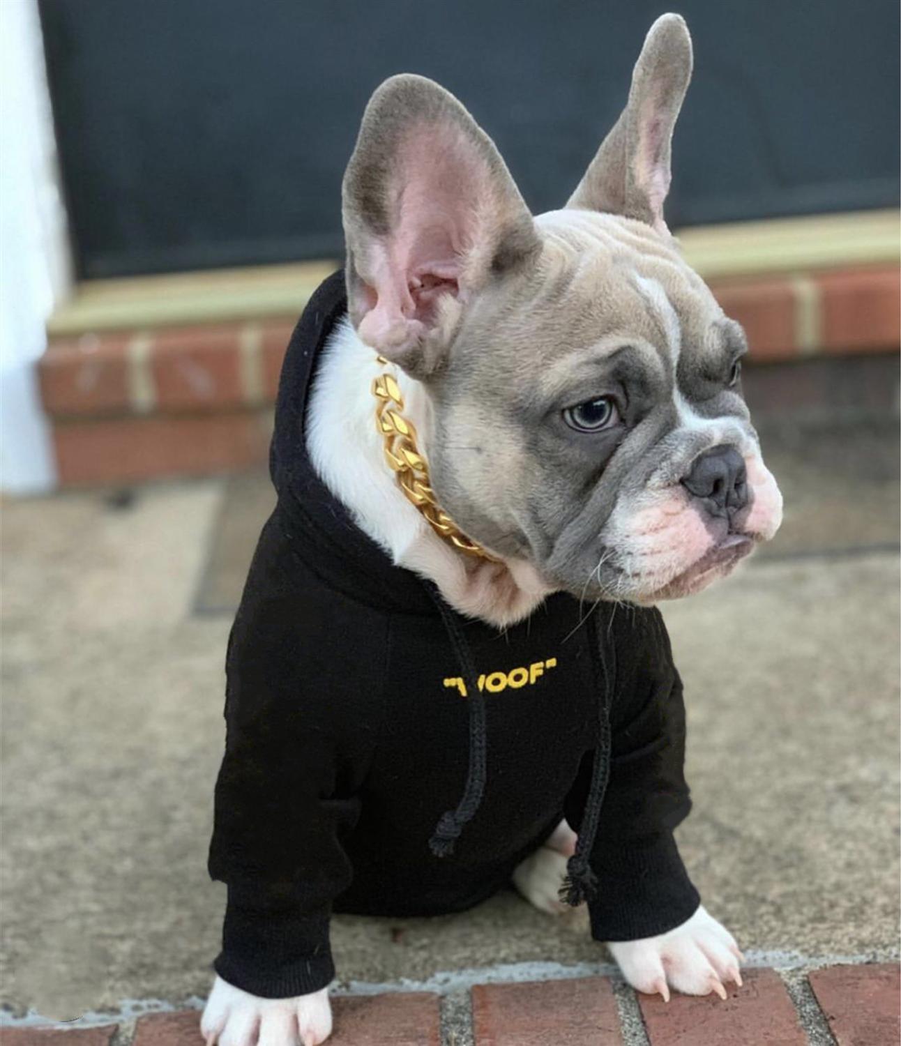 "Vêtements pour chien Bouledogue Français : Hoodie Adidog Retro Sportif" Black Yellow