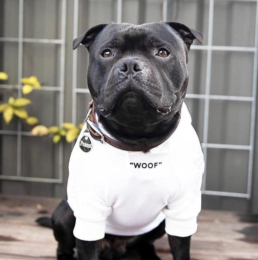 "Vêtements pour chien Bouledogue Français : Hoodie Adidog Retro Sportif" White Black