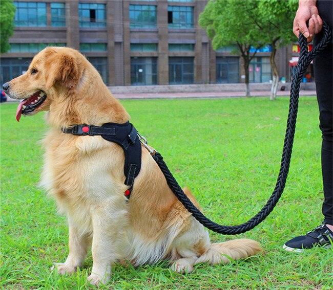 collier de couleur amélioré de haute qualité harnais pour grands chiens Black