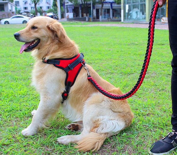 collier de couleur amélioré de haute qualité harnais pour grands chiens