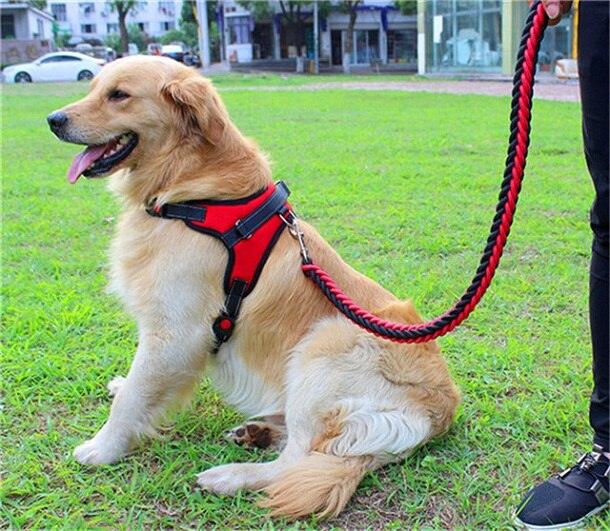 collier de couleur amélioré de haute qualité harnais pour grands chiens black red