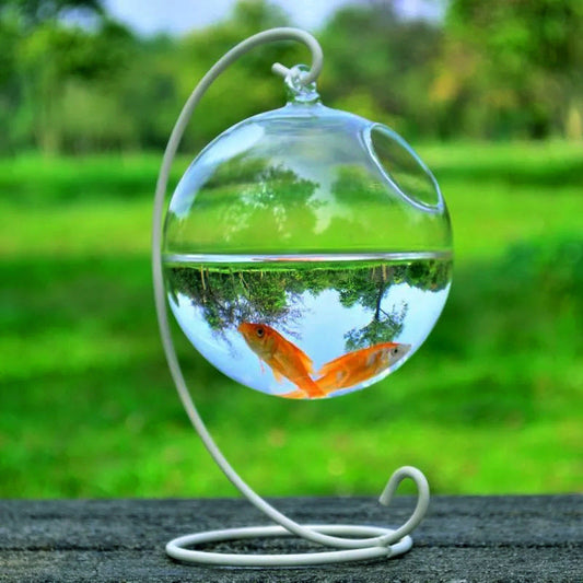 AOMshop - Découvrez notre Hanging Glass Vase Fish Tank pour décorer votre intérieur Glass ball23 white bracket