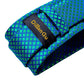 "Cravate pour homme en soie de designer paisley bleu sarcelle DiBanGu"