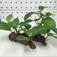 Décoration de plante simulée en herbe et bois - AOMshop B