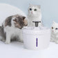 Distributeur automatique d'eau pour animaux de compagnie
