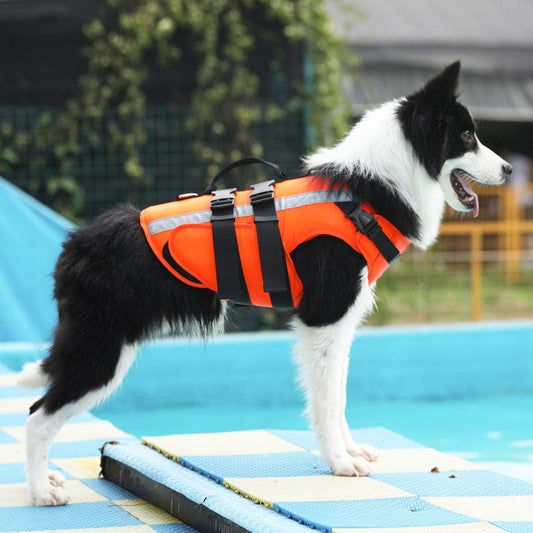 Gilet de sauvetage pour chien - Pour les petites et grandes races