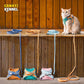 Harnais et laisse pour animaux de compagnie, ensemble de formation et de marche pour chats et chiens